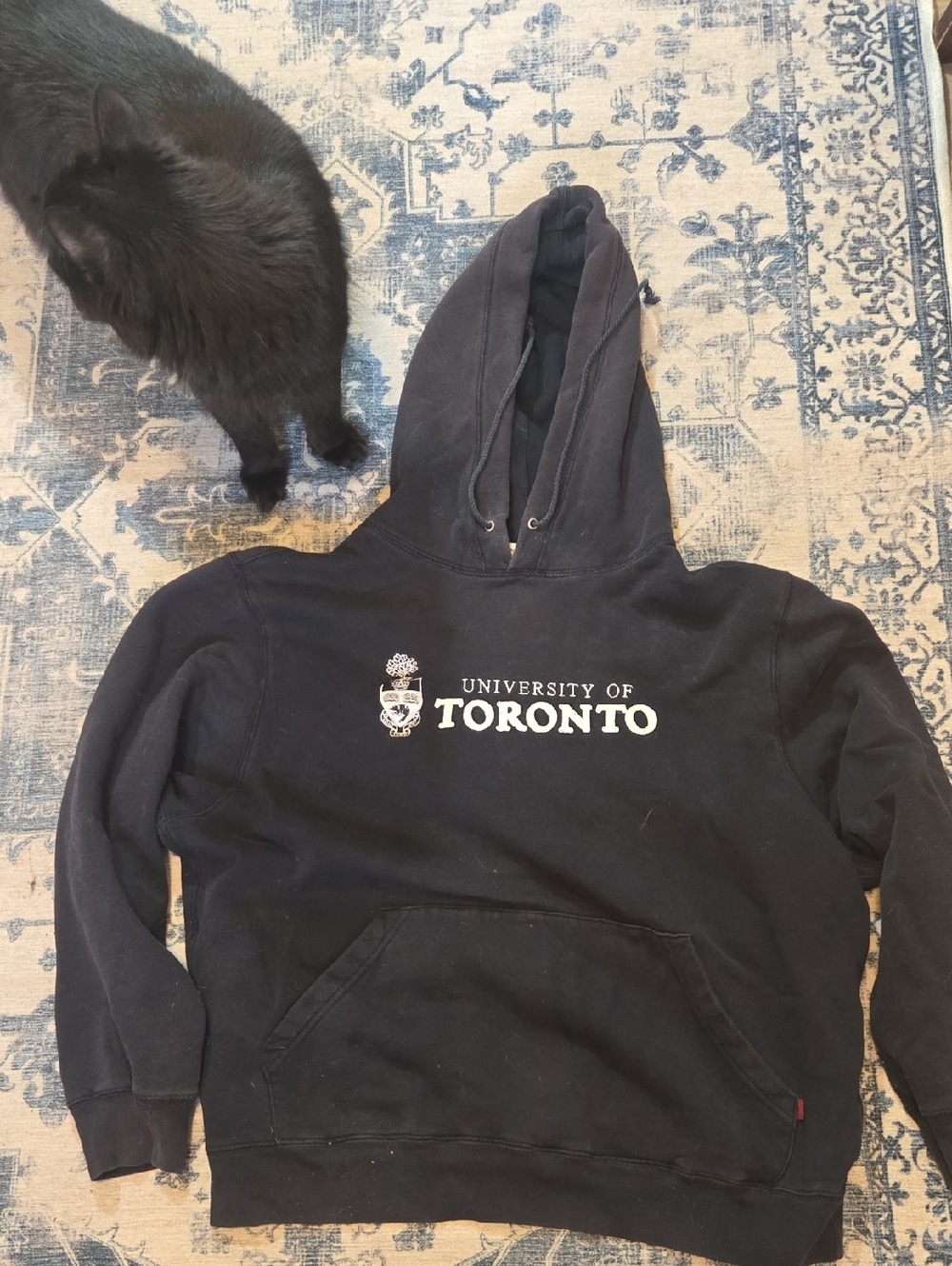 University Of Toronto Men's Black Hoodie Sweatshirt